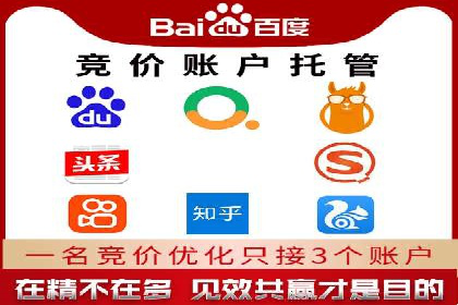 搜索引擎推广的佼佼者——百度搜索推广案例